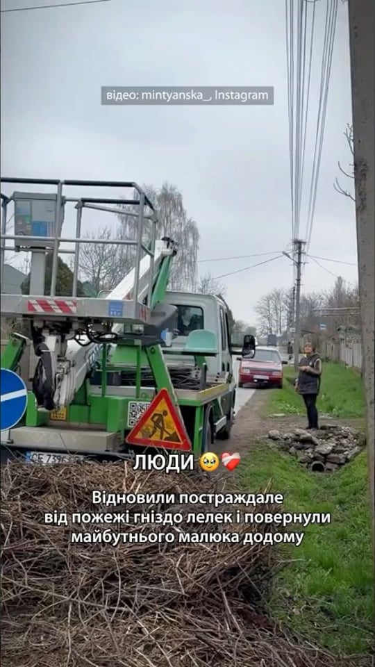 Люди відновили постраждале від пожежі гніздо лелек