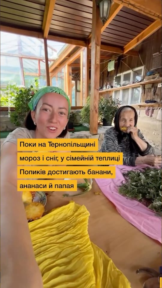 Мороз за вікном — ананаси в теплиці: історія родини з Тернопільщини