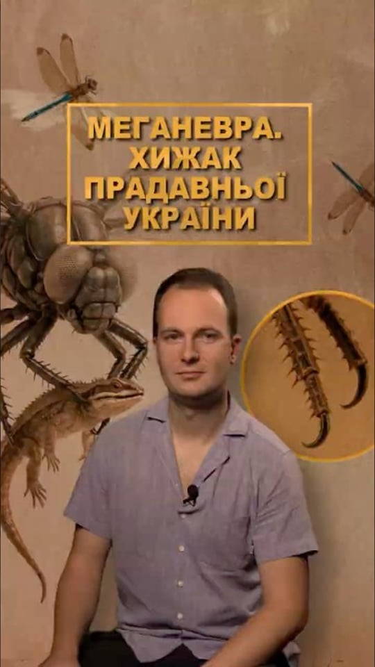 Над Україною літав гігантський родич бабки. Хто така меганевра?