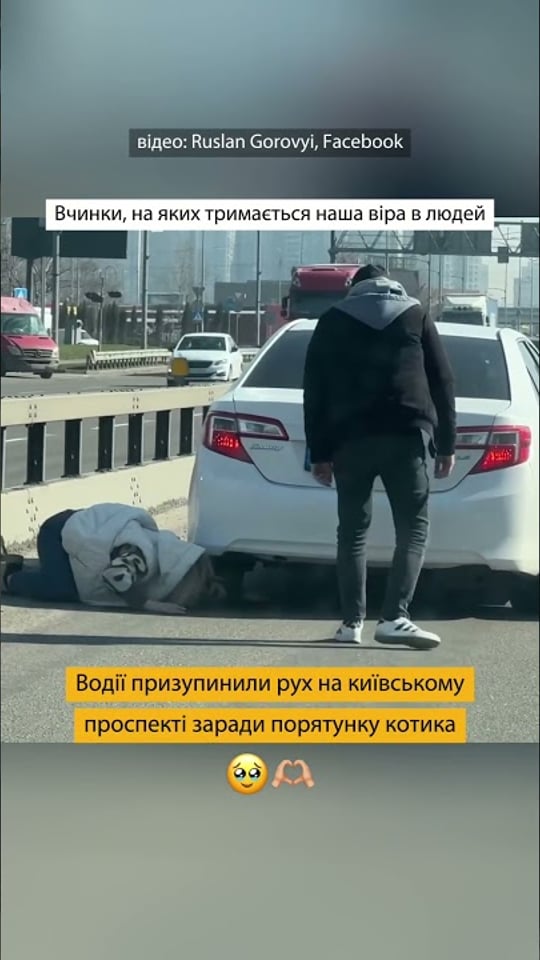 Відео, яке зробить ваш день кращим