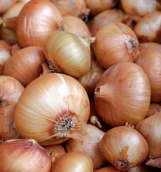 onions kurkul 29931