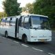 prodazhi novykh avtobusiv i komertsiynykh avto