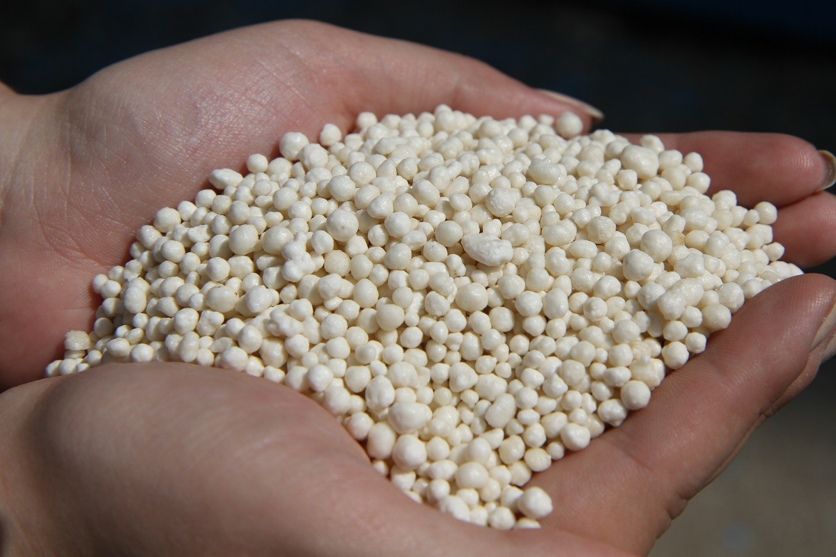 YEhypets ka kompaniia abu qir fertilizers zaplanuvala vidkryty v Ukraini tsekh iz vyrobnytstva amiachnoi selitry