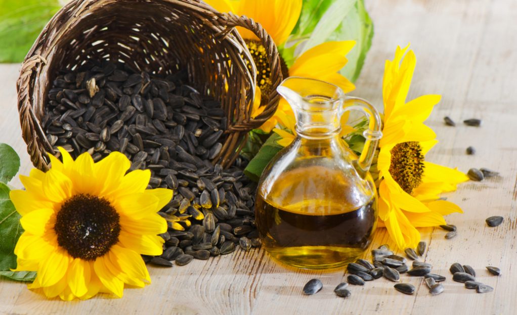 sunflower oil and sunflower seed