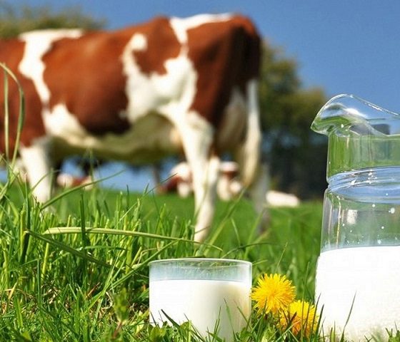 curiozitati despre lapte si alte produse lactate