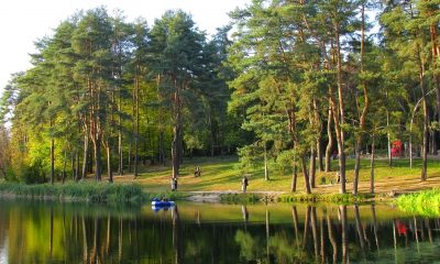 golosii vskyy  park im. m.rylskogo 04