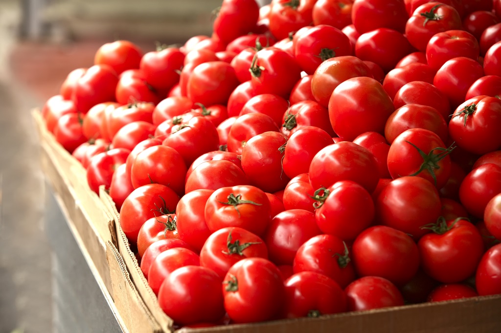 tomat na rynke