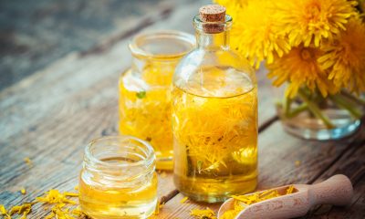 Dandelion wine recipe i539118940 1 e1559652196514