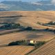 marches italy landscape at summer farm pp6z7vx min e1559724508298