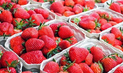 strawberries 1350482 1920 e1559654591944