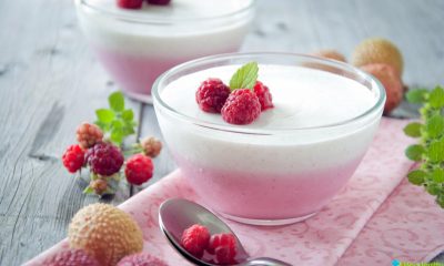 1489096875 desert malina yogurt lojka miska 70