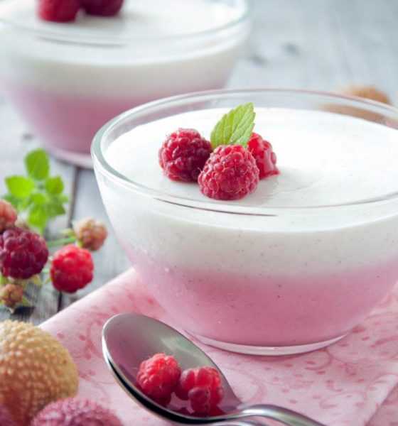 1489096875 desert malina yogurt lojka miska 70