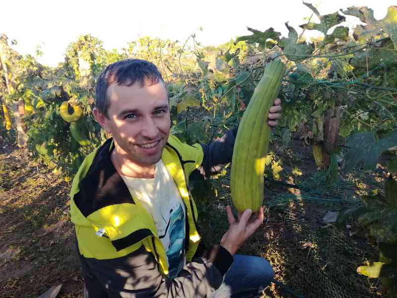 Володимир Жданов