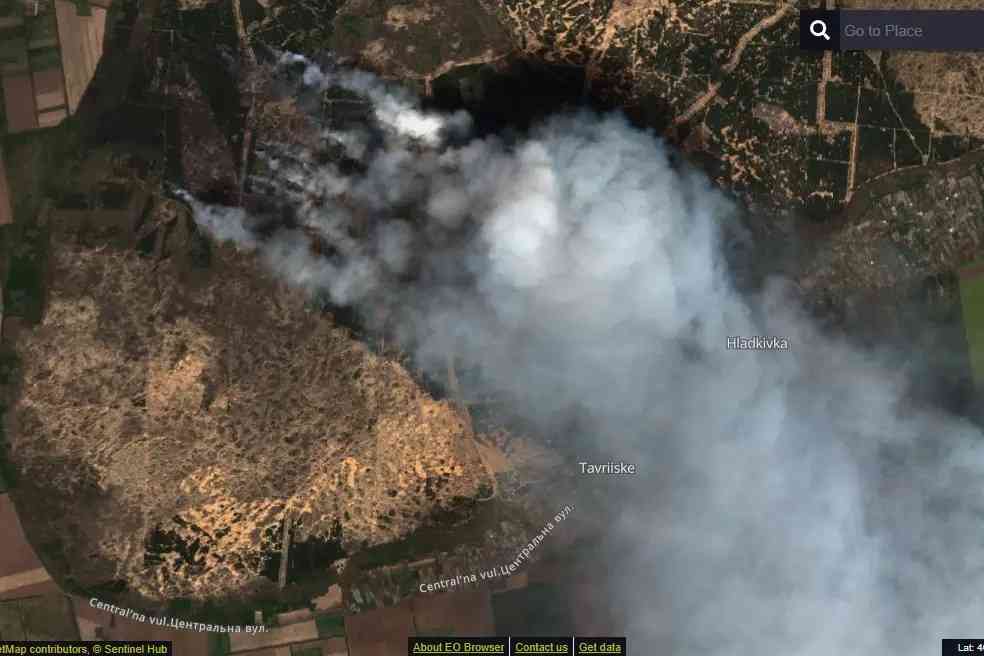 пожежі в Україні, що руйнують екосистеми