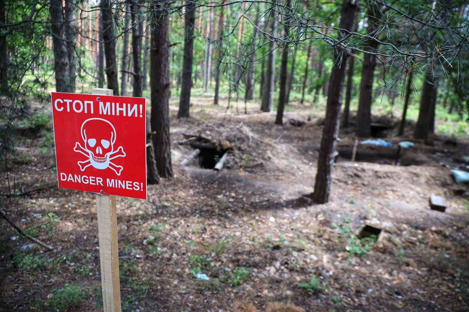 війна в Україні: замінований ліс